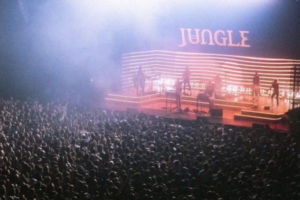 Jungle
